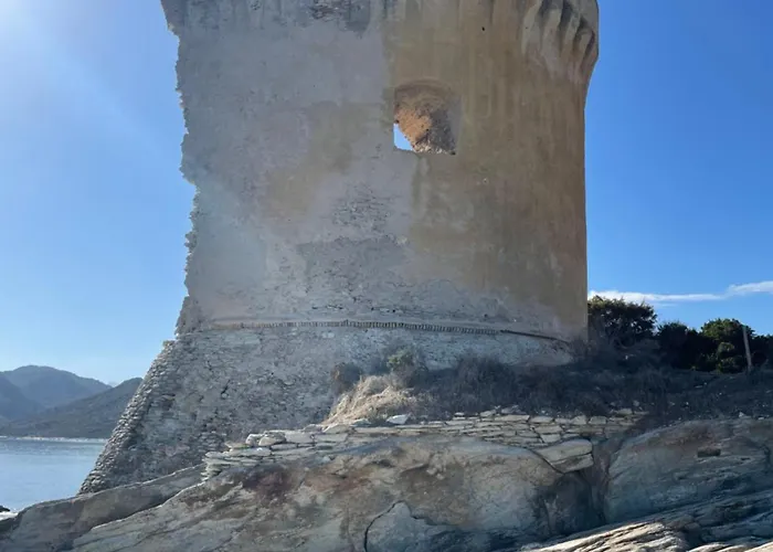 Privat bolig Anna T2 Avec Piscine Et Jardin Prive, Escapade Romantique En Corse Vescovato